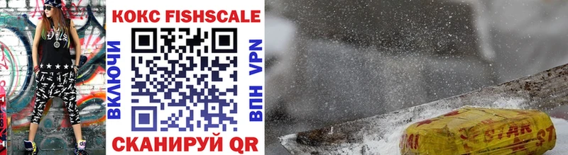 Купить где  Ершов  COCAIN 98% 