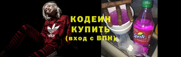 дмт Ельня