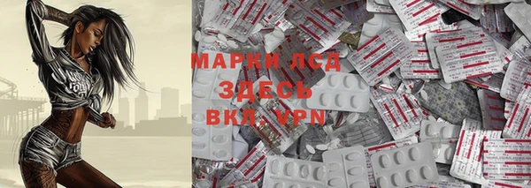 спиды Дмитриев