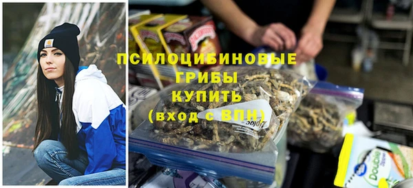 спиды Дмитриев
