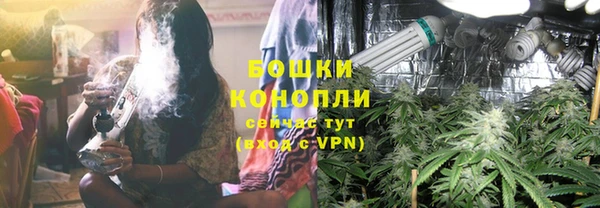 спиды Дмитриев