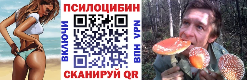 Псилоцибиновые грибы MAGIC MUSHROOMS  Купить  Ершов 